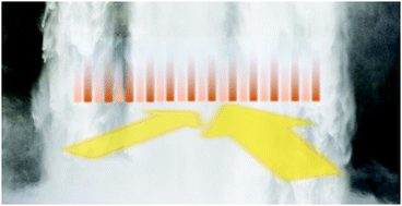 Graphical abstract: Comment on “Terahertz pump–probe of liquid water at 12.3 THz” by F. Novelli, C. Hoberg, E. M. Adams, J. M. Klopf and M. Havenith, Phys. Chem. Chem. Phys., 2022, 24, 653–665