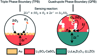 Graphical abstract: Design of triple and quadruple phase boundaries and chemistries for environmental SO2 electrochemical sensing