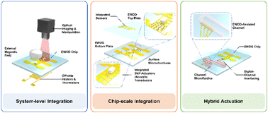 Graphical abstract: Combining sensors and actuators with electrowetting-on-dielectric (EWOD): advanced digital microfluidic systems for biomedical applications