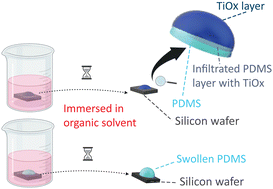 Graphical abstract: Atmospheric pressure atomic layer deposition to increase organic solvent resistance of PDMS