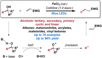 Graphical abstract: Iron-catalyzed deconstructive alkylation through chlorine radical induced C–C single bond cleavage under visible light