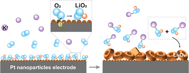 Graphical abstract: In situ visualization of synergistic effects between electrolyte additives and catalytic electrodes in Li–O2 batteries