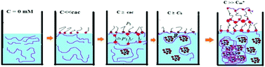 Graphical abstract: A detailed assessment on the interaction of sodium alginate with a surface-active ionic liquid and a conventional surfactant: a multitechnique approach