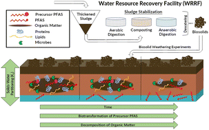 Graphical abstract: Influence of microbial weathering on the partitioning of per- and polyfluoroalkyl substances (PFAS) in biosolids