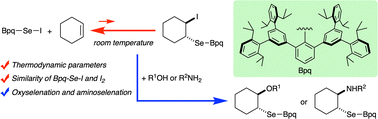 Graphical abstract: Efficient oxyselenation and aminoselenation utilizing a selenenyl iodide based on the characteristic thermodynamics of its reaction with olefins