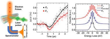 Graphical abstract: Enhancement of lattice dynamics by an azimuthal surface plasmon on the femtosecond time scale in multi-walled carbon nanotubes