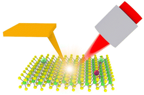 Graphical abstract: Tip-enhanced nanoscopy of two-dimensional transition metal dichalcogenides: progress and perspectives