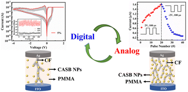 Graphical abstract: Achieving adjustable digital-to-analog conversion in memristors with embedded Cs2AgSbBr6 nanoparticles