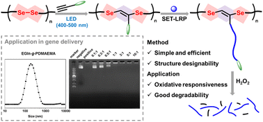 Graphical abstract: Diselenide–yne chemistry for selenium-containing linear polymer modification