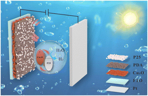 Graphical abstract: P25-induced polydopamine conformal assembly on Cu2O polyhedra for hydrophilic and stable photoelectrochemical performance