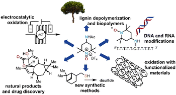 Graphical abstract: Recent advancements in the use of Bobbitt's salt and 4-acetamidoTEMPO