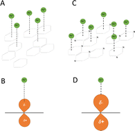 Graphical abstract: Feedstock nitrogen content mediates maximum possible Pb sorption capacity of biochars