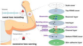 Graphical abstract: Skin-interfaced microfluidic sweat collection devices for personalized hydration management through thermal feedback