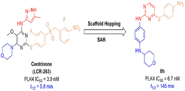 Graphical abstract: Design, synthesis, and biological evaluation of novel pyrimidin-2-amine derivatives as potent PLK4 inhibitors