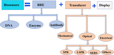 Graphical abstract: A review on hybridization of plasmonic and photonic crystal biosensors for effective cancer cell diagnosis