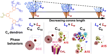 Graphical abstract: Impact of peripheral alkyl chain length on mesocrystal assemblies of G2 dendrons