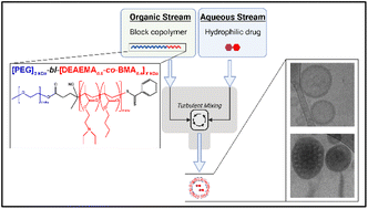 Graphical abstract: Engineering endosomolytic nanocarriers of diverse morphologies using confined impingement jet mixing