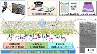 Graphical abstract: Robust superhydrophobic silicone/epoxy functional coating with excellent chemical stability and self-cleaning ability