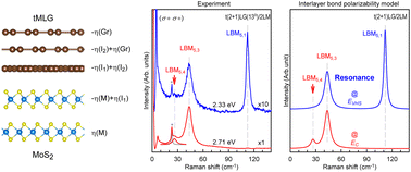 Graphical abstract: Interlayer bond polarizability model for interlayer phonons in van der Waals heterostructures