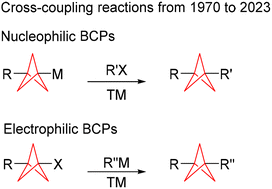 Graphical abstract: Synthesis of 1,3-disubstituted bicyclo[1.1.1]pentanes by cross-coupling induced by transition metals – formation of C–C bonds