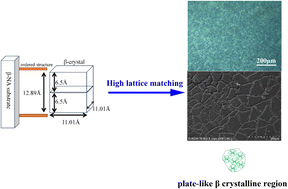 Graphical abstract: An efficient β-nucleating agent with high lattice matching rate for plate-like crystallization of polypropylene random copolymer