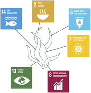 Graphical abstract: The Sea's best kept secret: the use of seaweed as a source of biohydrogen for clean and renewable energy