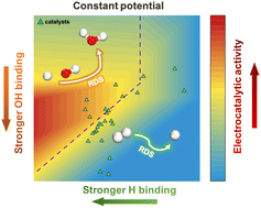 Graphical abstract: Modelling the activity trend of the hydrogen oxidation reaction under constant potential conditions