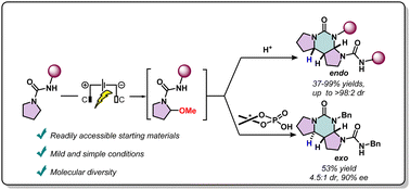 Graphical abstract: Stereoselective synthesis of fissoldhimine alkaloid analogues via sequential electrooxidation and heterodimerization of ureas