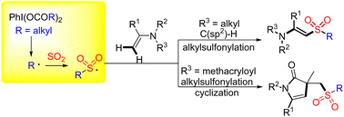 Graphical abstract: Metal- and additive-free β-C(sp2)–H decarboxylative alkylsulfonylation of enamides from phenyliodine(iii) dicarboxylates and sulfur dioxide