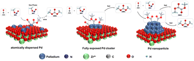 Graphical abstract: Enhanced methyl nitrite carbonylation to dimethyl carbonate via fully exposed palladium cluster catalysts