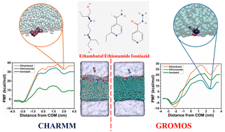 Graphical abstract: Permeability of TB drugs through the mycolic acid monolayer: a tale of two force fields