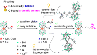 Graphical abstract: Synthetic routes to carbon substituted cobalt bis(dicarbollide) alkyl halides and aromatic amines along with closely related irregular pathways