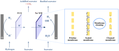 Graphical abstract: Feasibility study of an electrochemical hydrogen looping system for indirect ocean capture