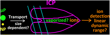Graphical abstract: Challenges in measuring nanoparticles and microparticles by single particle ICP-QMS and ICP-TOFMS: size-dependent transport efficiency and limited linear dynamic range