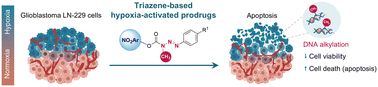 Graphical abstract: Nitroaromatic-based triazene prodrugs to target the hypoxic microenvironment in glioblastoma