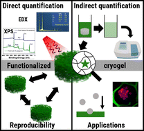 Graphical abstract: Surface functionalized cryogels – characterization methods, recent progress in preparation and application