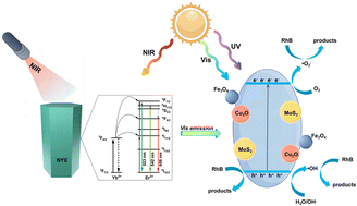Graphical abstract: Near-infrared responsive magnetic photocatalyst based on NaYF4:Yb3+/Er3+@Cu2O@MoS2@Fe3O4 for the efficient degradation of organic contaminants