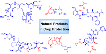 Graphical abstract: Chemical case studies from natural products of recent interest in the crop protection industry