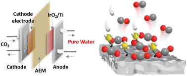 Graphical abstract: Amino-functionalization enhanced CO2 reduction reaction in pure water