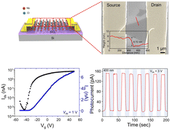 Graphical abstract: A negative photoconductivity photodetector based on two-dimensional Nb3Cl8