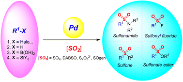 Graphical abstract: Recent advances in palladium-catalyzed sulfonylation via SO2 insertion