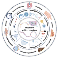 Graphical abstract: Recent developments of polymeric delivery systems in gene therapeutics