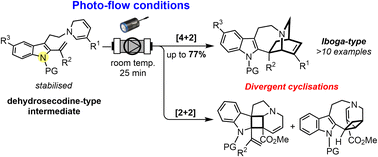 Graphical abstract: Direct photochemical intramolecular [4 + 2] cycloadditions of dehydrosecodine-type substrates for the synthesis of the iboga-type scaffold and divergent [2 + 2] cycloadditions employing micro-flow system