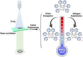 Graphical abstract: Bisphosphonium cation based metal halide glass scintillators with tunable melting points
