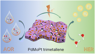Graphical abstract: Bifunctional PdMoPt trimetallene boosts alcohol–water electrolysis