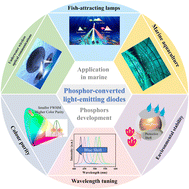 Graphical abstract: Phosphor-converted light-emitting diodes in the marine environment: current status and future trends