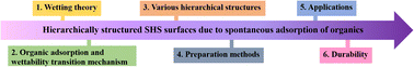Graphical abstract: Advances in organic adsorption on hydrophilic hierarchical structures for bionic superhydrophobicity: from fundamentals to applications