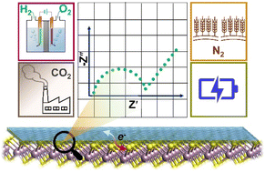 Graphical abstract: Deciphering interfacial charge transfer mechanisms in electrochemical energy systems through impedance spectroscopy