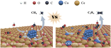 Graphical abstract: Customized CO2 electroreduction to methane or ethylene by manipulating *H and *CO adsorption on Cu/CeOx catalysts