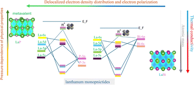 Graphical abstract: Anomalous mass dependence of phonon thermal transport in lanthanum monopnictides and its origin in the nature of chemical bonding